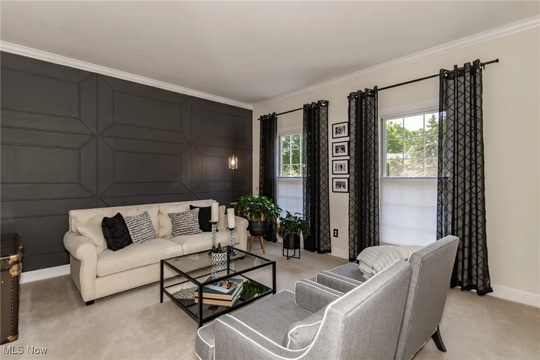 Living area with ornamental molding and light carpet
