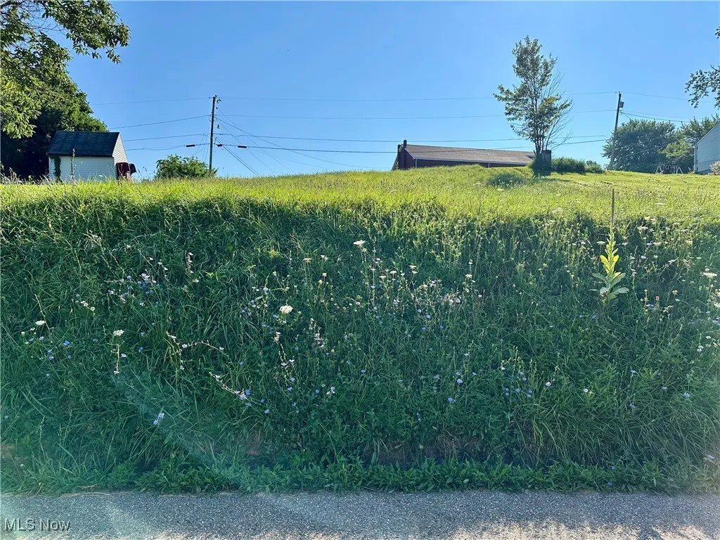 Back of lot off Orpha Ave