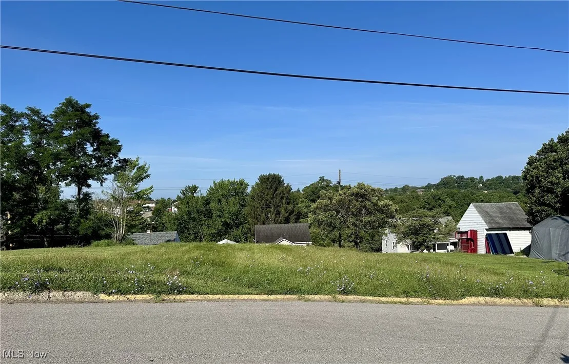 Front of lot off Marie Ave