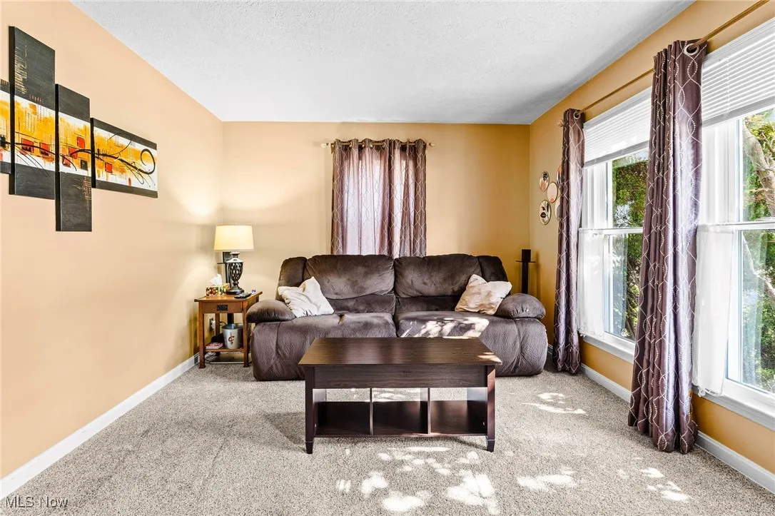 Living room with newer vinyl replacement windows that let in plenty of natural light, and carpet over hardwood floors