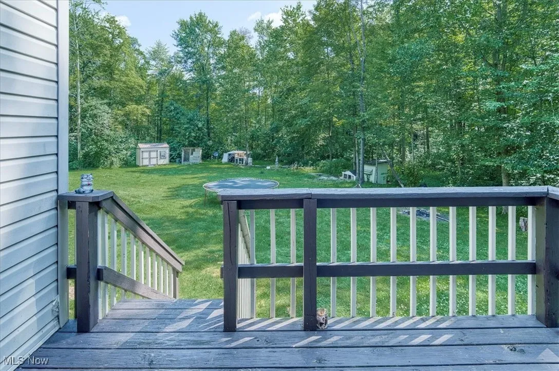 Wooden terrace with a lawn and a shed