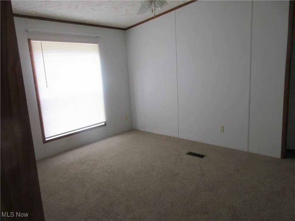 Unfurnished room featuring carpet flooring, healthy amount of natural light, crown molding, and a textured ceiling