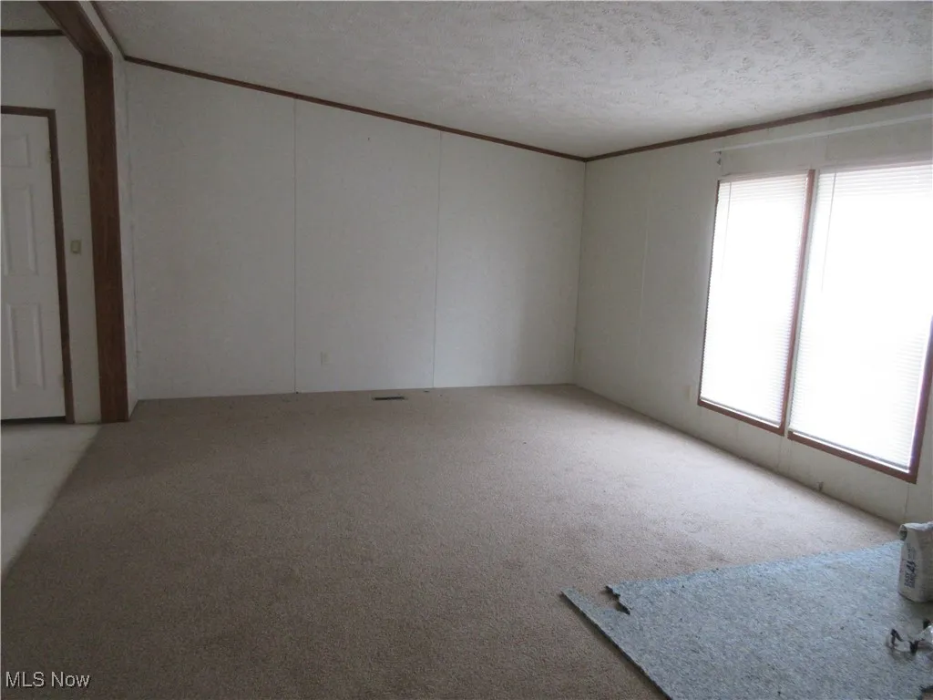 Empty room with light colored carpet, healthy amount of natural light, a textured ceiling, a decorative wall, and crown molding