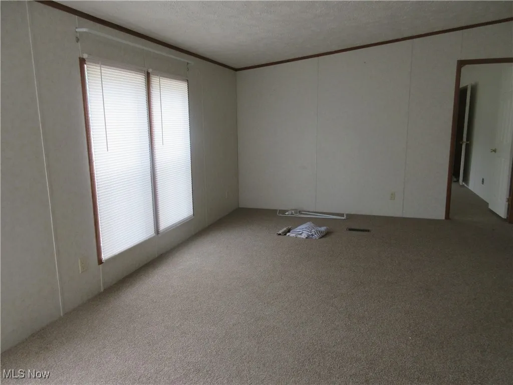 Carpeted spare room featuring a textured ceiling, ornamental molding, and a decorative wall