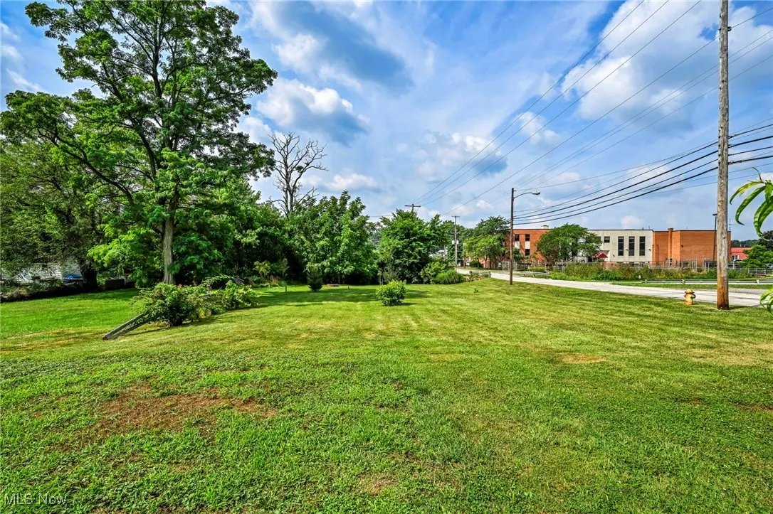 View of grassy yard