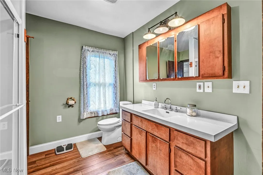 Bathroom with wood finished floors and vanity
