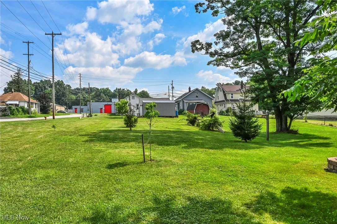 View of grassy yard