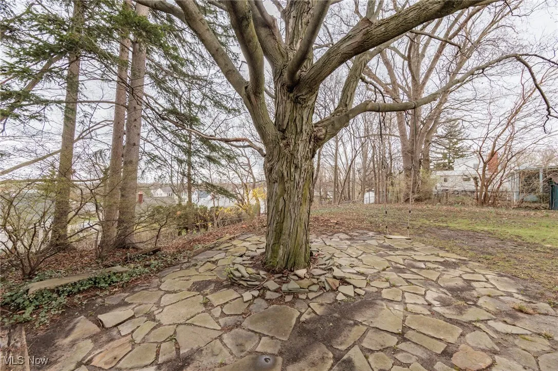 29213 Ridge Road, Wickliffe, Ohio,MLS Now Listing ID