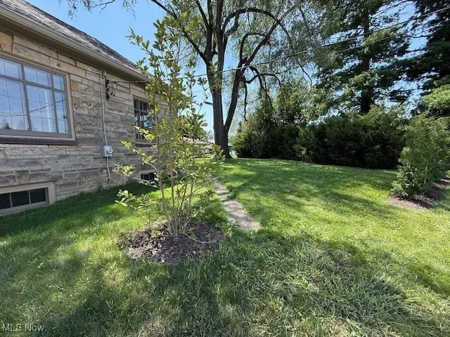 View of green lawn