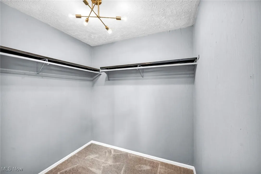 Spacious closet with carpet