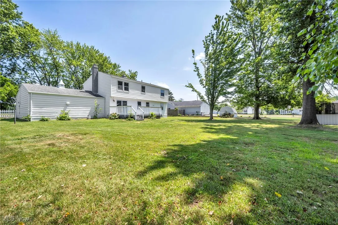 View of grassy yard