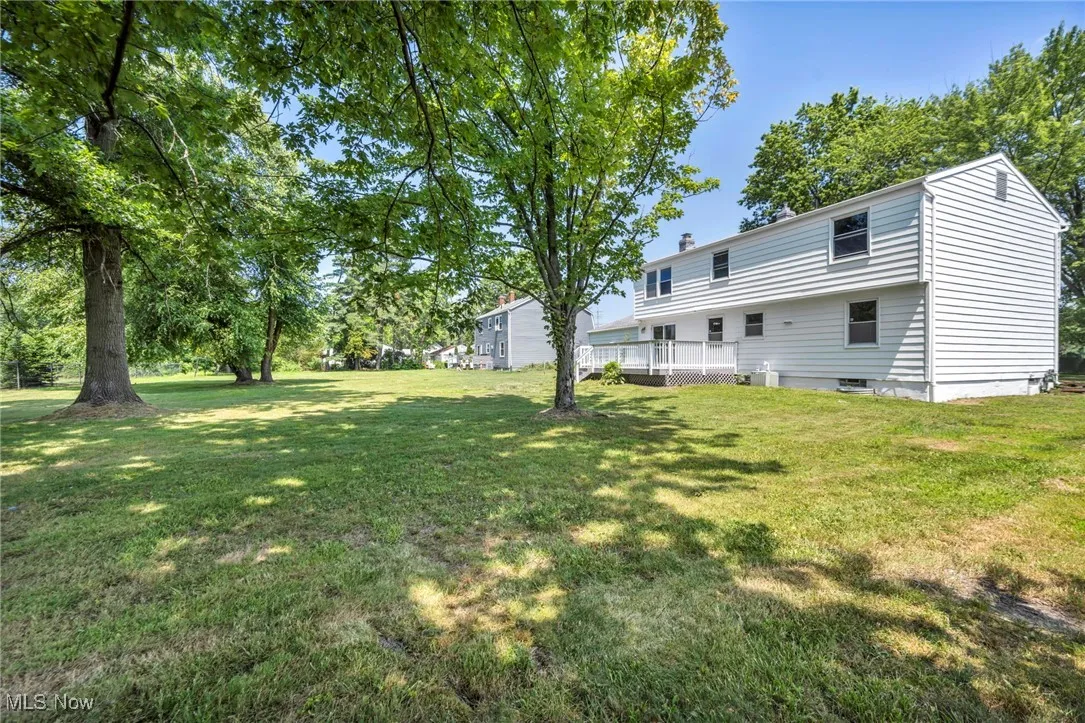 View of grassy yard