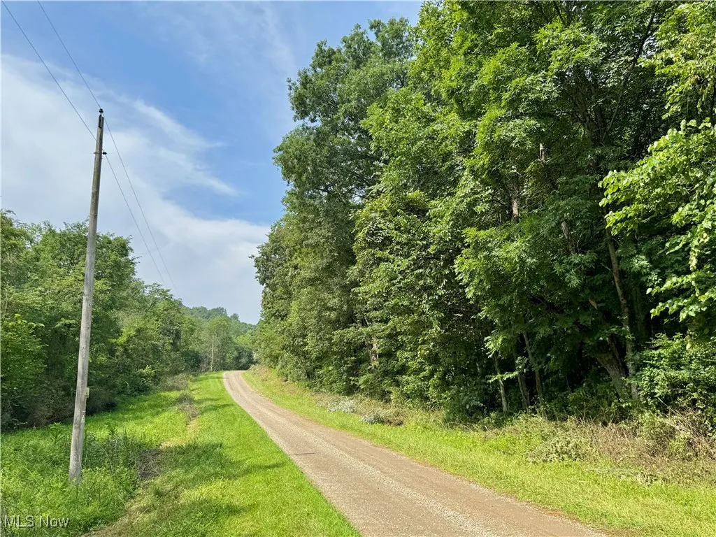 Township Rd 437, Coshocton, Ohio,MLS Now Listing ID