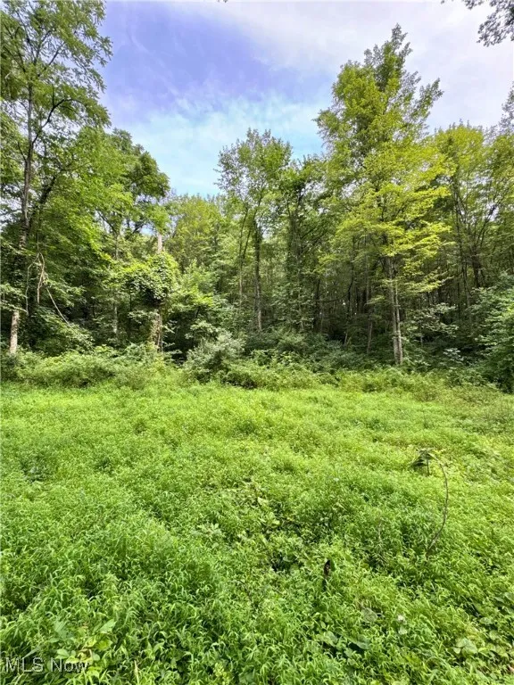 Township Rd 437, Coshocton, Ohio,MLS Now Listing ID