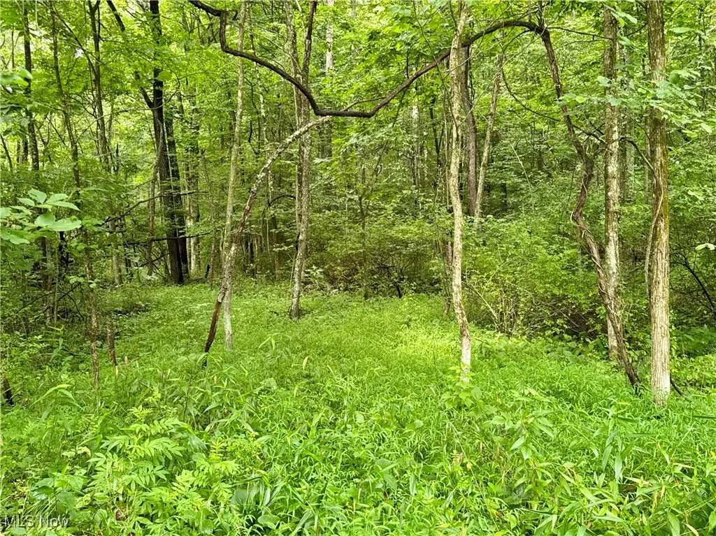 Township Rd 437, Coshocton, Ohio,MLS Now Listing ID