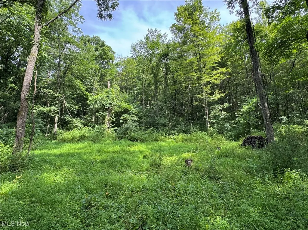 Township Rd 437, Coshocton, Ohio,MLS Now Listing ID