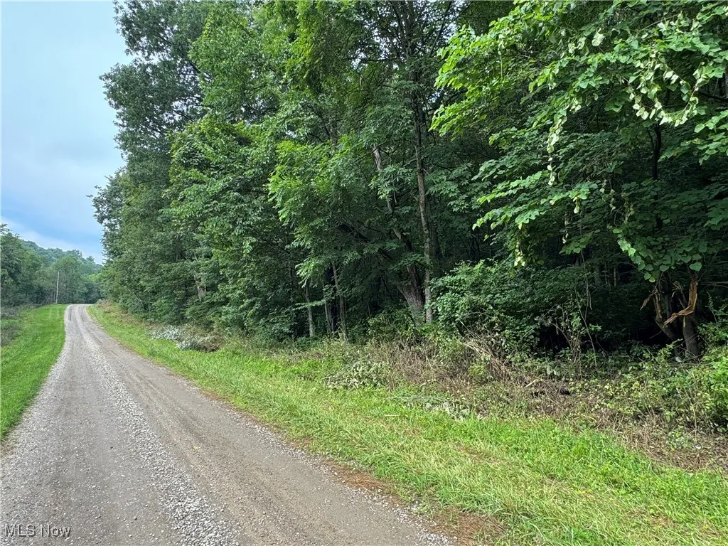 Township Rd 437, Coshocton, Ohio,MLS Now Listing ID