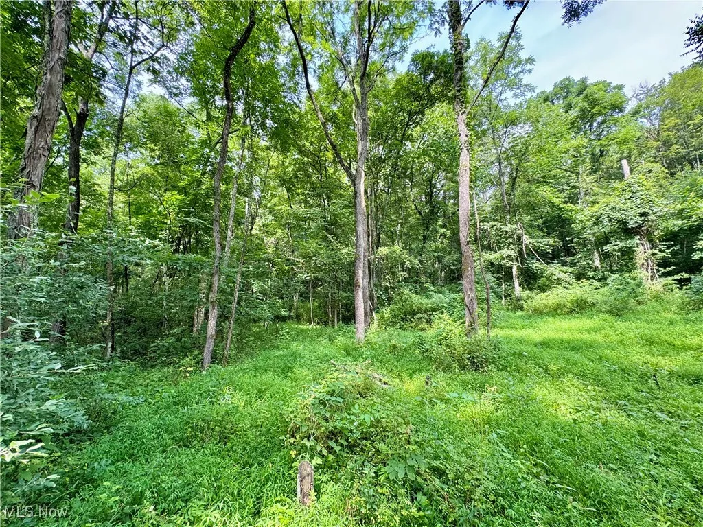 Township Rd 437, Coshocton, Ohio,MLS Now Listing ID