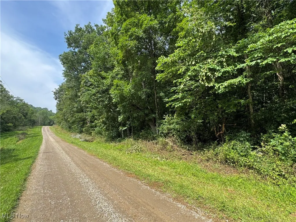 Township Rd 437, Coshocton, Ohio,MLS Now Listing ID