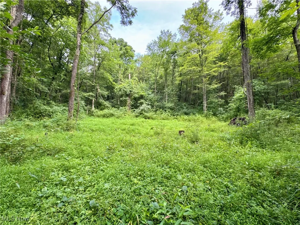 Township Rd 437, Coshocton, Ohio,MLS Now Listing ID