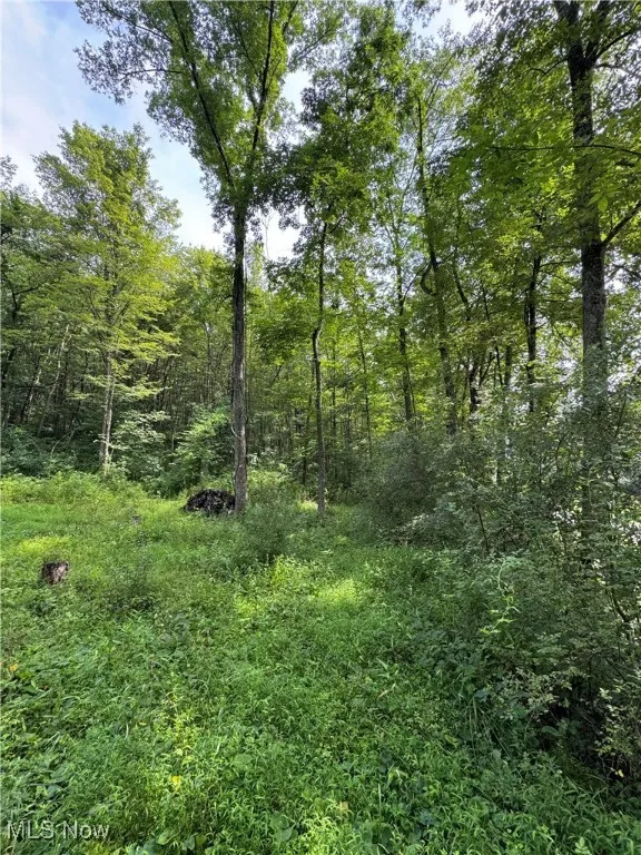 Township Rd 437, Coshocton, Ohio,MLS Now Listing ID