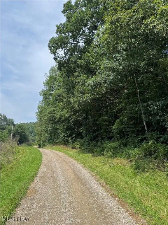 Township Rd 437, Coshocton, Ohio,MLS Now Listing ID