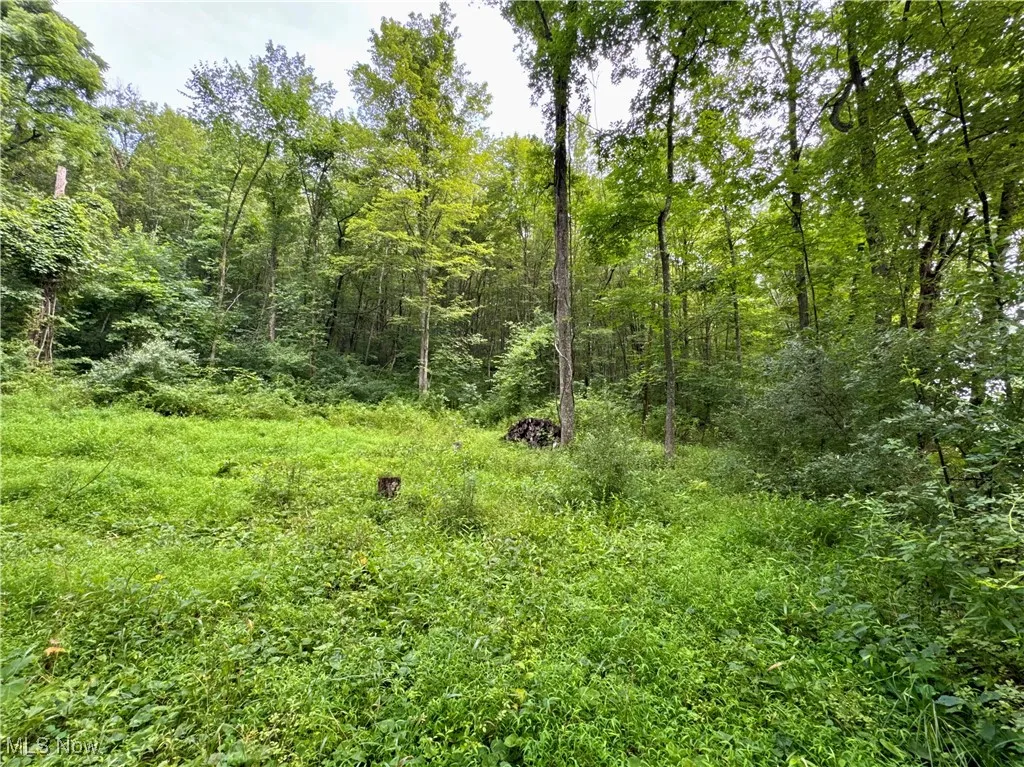 Township Rd 437, Coshocton, Ohio,MLS Now Listing ID