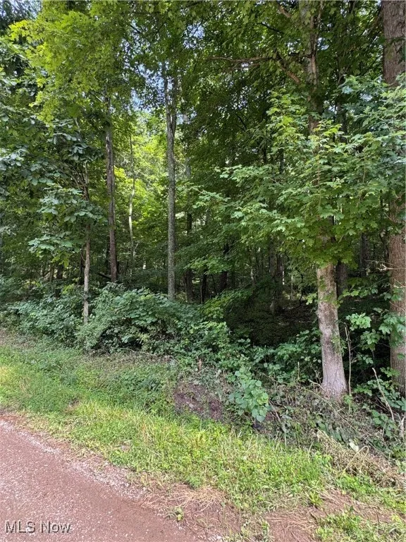 Township Rd 437, Coshocton, Ohio,MLS Now Listing ID