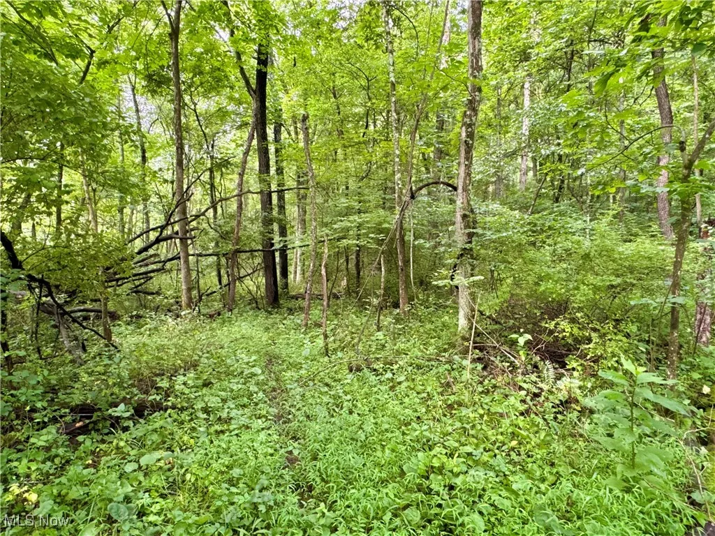 Township Rd 437, Coshocton, Ohio,MLS Now Listing ID