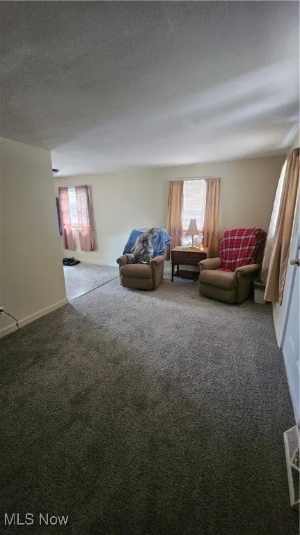 Living room featuring carpet floors