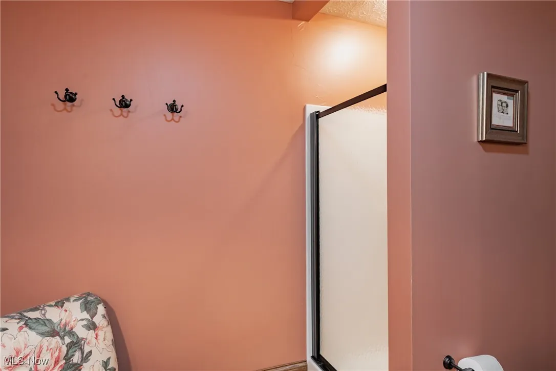 Lower level bathroom showing the shower