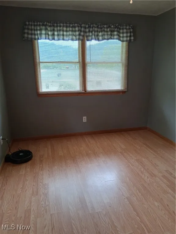 Unfurnished room featuring plenty of natural light and light wood-style floors
