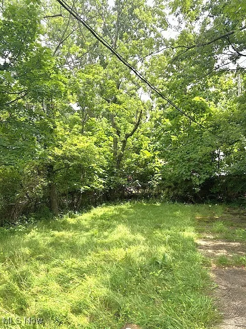 View of yard featuring a wooded view