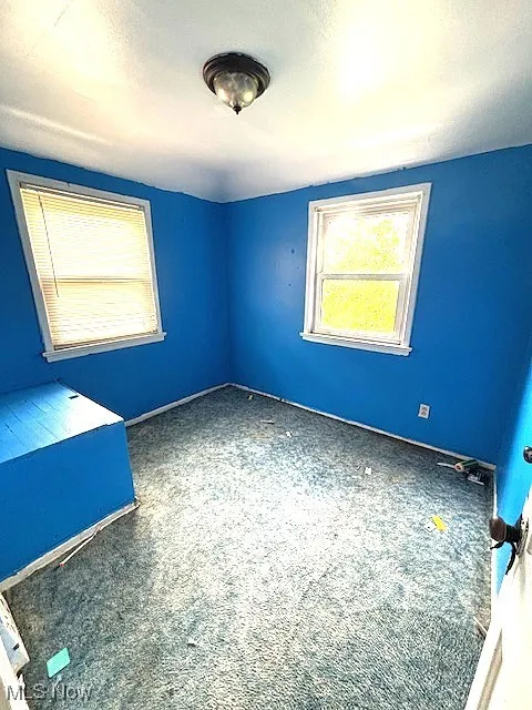 Empty room featuring plenty of natural light and carpet floors