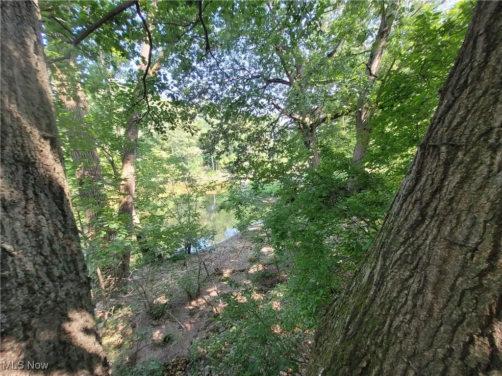 255 W River Road, Elyria, Ohio,MLS Now Listing ID