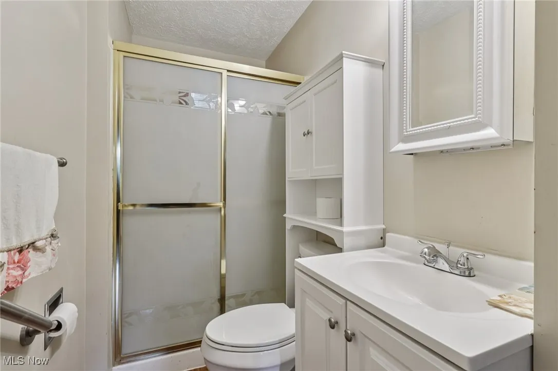 lower level full bathroom with walk-in shower