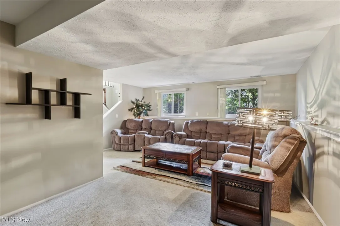 Spacious family room on lower level with windows providing plenty of natural lighting and fireplace  for relaxing or entertaining
