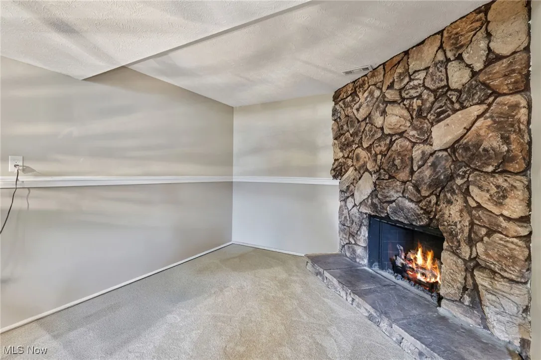 Spacious family room on lower level with windows providing plenty of natural lighting and fireplace  for relaxing or entertaining
