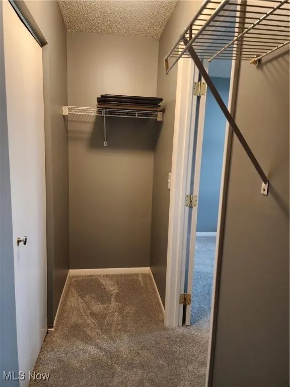 Walk in closet featuring carpet