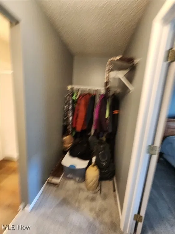 Walk in closet with carpet flooring