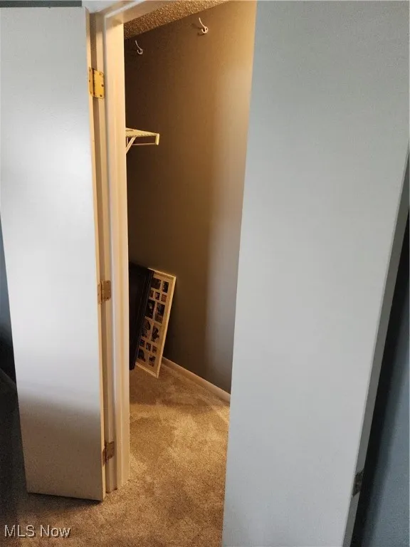 Spacious closet with carpet