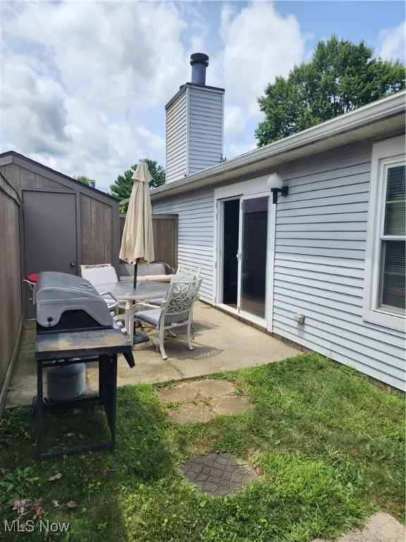 View of yard with a patio and a storage unit