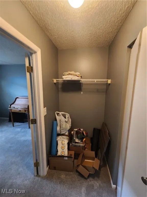 Spacious closet featuring carpet flooring