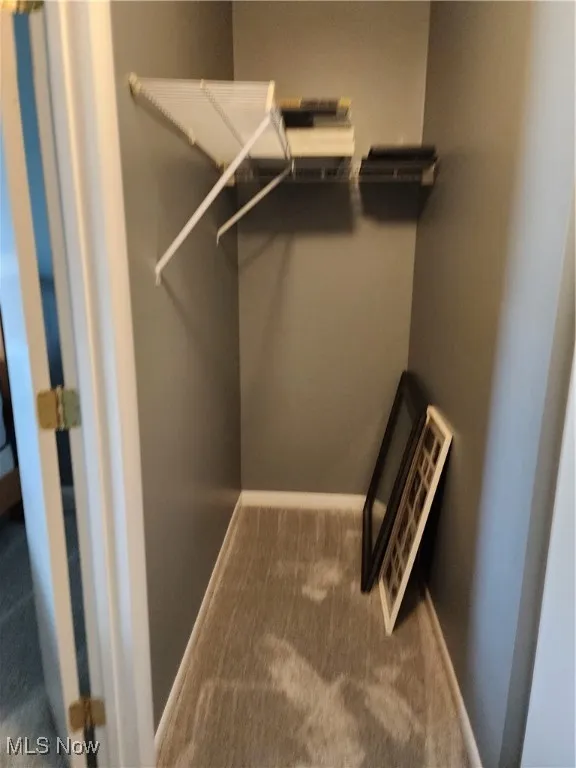 Walk in closet with carpet flooring