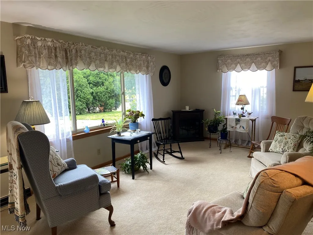 Living room featuring carpet floors and plenty of natural light