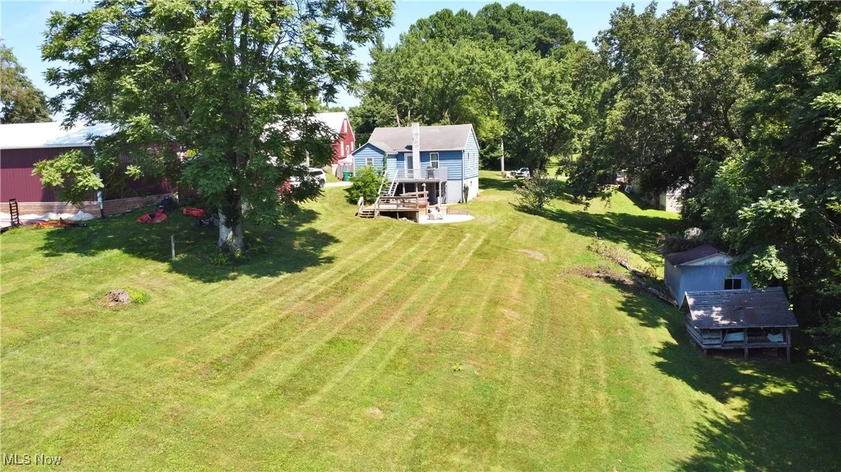 View of green lawn