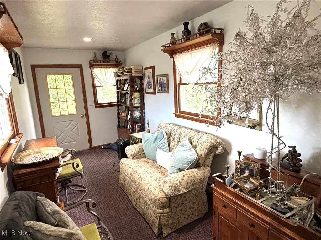 514 E Park Avenue, Columbiana, Ohio,MLS Now Listing ID