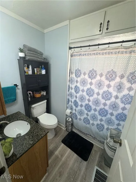 Full bathroom with wood finished floors, vanity, ornamental molding, and a shower with curtain
