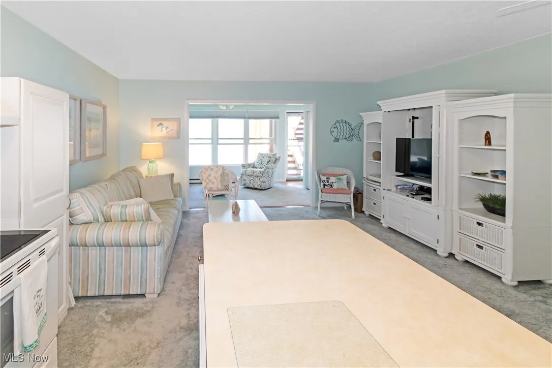 Living room with light carpet