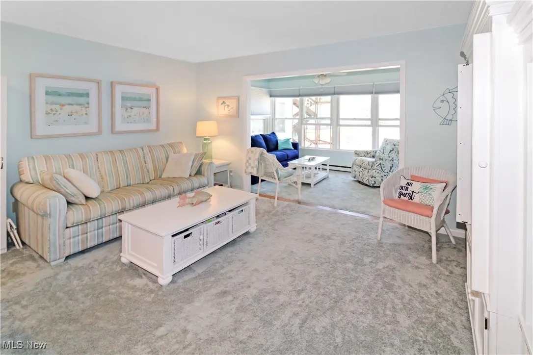 Living area with light carpet